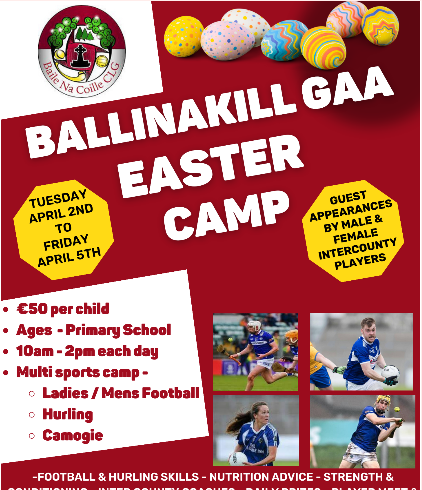 Ballinakill GAA Easter Camp